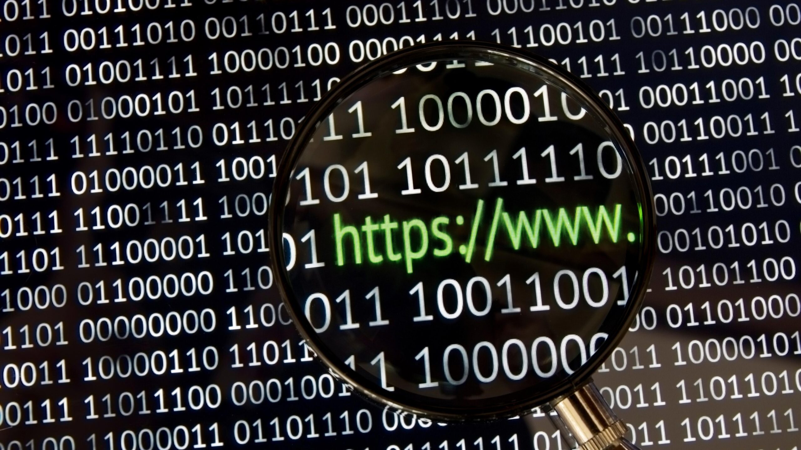 SleepWell WebScan
